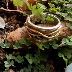 Premier Designs Ring